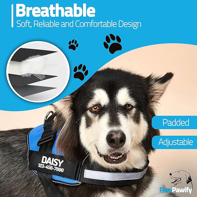 PawPawify Custom No Pull Dog Harness with Name and Phone Number, Heavy Duty Personalized Pet Vest to Prevent Tugging, Pulling, or Choking, Training and Walking (Blue, XL (Chest 28-35in))