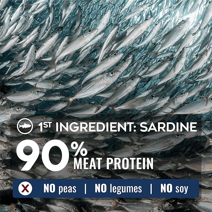 NATURE'S LOGIC Pure Naturals™ 100% Natural Sardine Recipe Synthetic-Free Dry Dog Food, 12 lbs