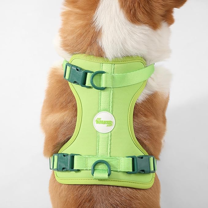 HNS1002B Arlo Medium Adjustable Soft Padded No Pull Pet Harness with 3 Buckles and 3 Leash Clips, Mojito