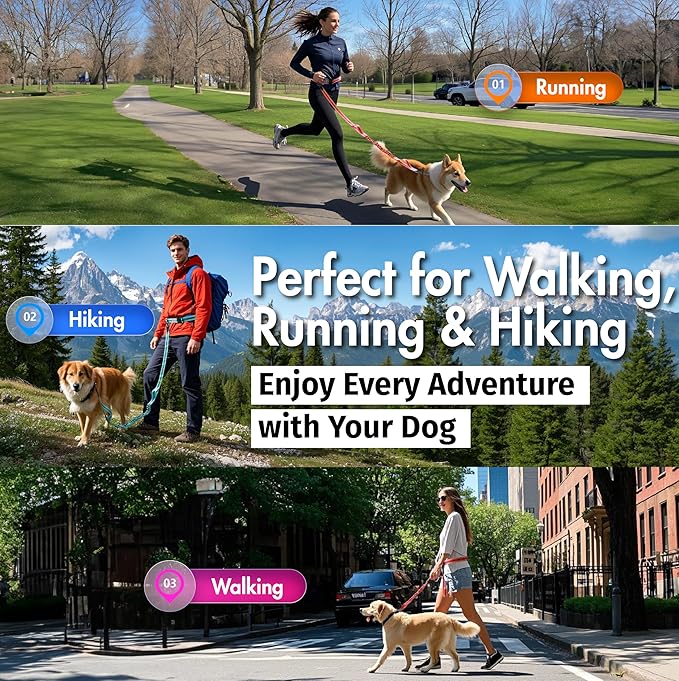 Hands Free Dog Leash with Waist Belt Lifetime Replacement, Dual Handle Bungee Leash for Running, Jogging, Hiking and Walking, for Medium and Large Dogs 5218