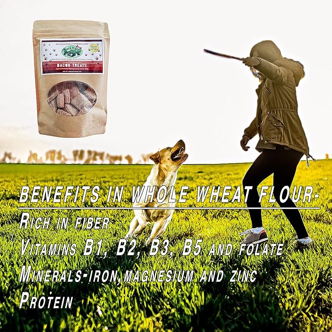 Dog Treats | Bacon 100mg of Hemp Per Bag | 100% Natural and Non GMO | Offers Your Pet Hip, Joint, and Muscle Support | Aids with Anxiety,Stress, and Pain