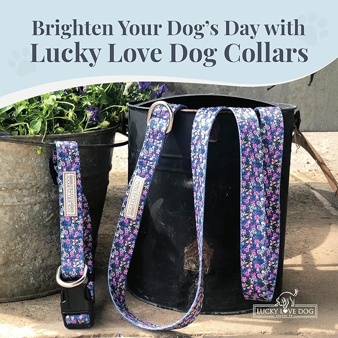 Lucky Love Dog, Comfortable, Soft, Cute Female Dog Collar for Tiny Dogs, Black & Purple Floral Print, Adjustable Nylon Collar, Primrose, XS