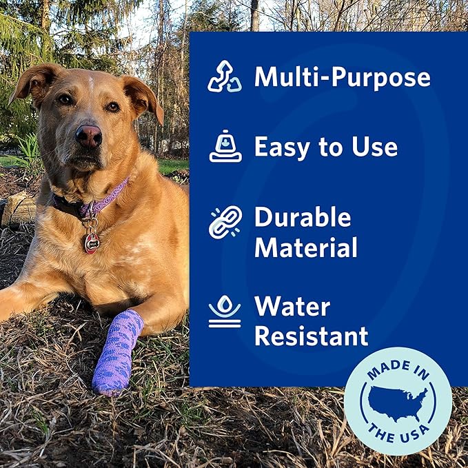 PetFlex Paw Pack – Flexible Self-Adhering Elastic Bandage for Wound Care – First Aid Wrap for Small Animals Like Dogs, Cats, and Other Pets - 2 inch, 36 Rolls