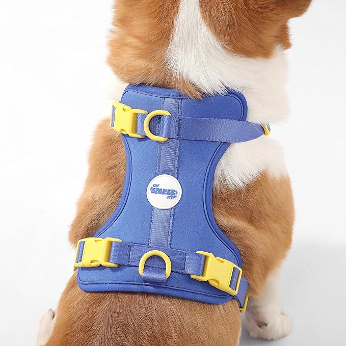HNS1002C Arlo Medium Adjustable Soft Padded No Pull Pet Harness with 3 Buckles and 3 Leash Clips, Curaçao