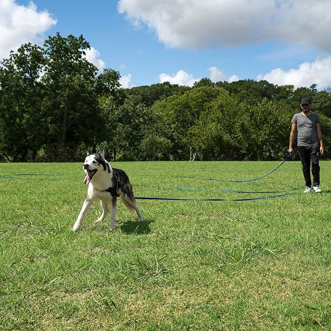 Hi Kiss Dog/Puppy Obedience Recall Training Agility Lead - 15ft 20ft 30ft 50ft 100ft Training Leash - Great for Training, Play, Camping, or Backyard (30 Feet, Green)