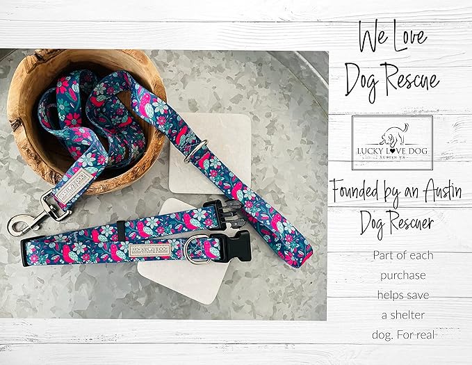 Lucky Love Dog - Adjustable Collar and Leash Set with Easy Click Buckle for Small to Large Dogs, Durable, & Comfortable Collar for Male & Female Dogs, Puppies & Adul t- CarrieBelle Combo, Medium
