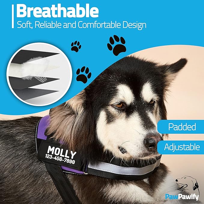 PawPawify Custom No Pull Dog Harness with Name and Phone Number, Heavy Duty Personalized Pet Vest to Prevent Tugging, Pulling, or Choking, Training and Walking (Purple, L (Chest 23-30in))
