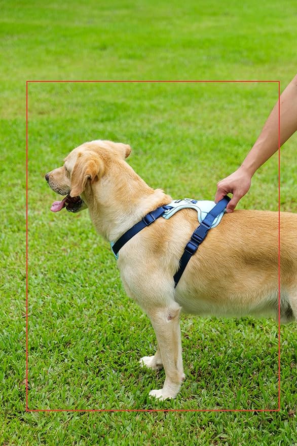 No Pull Dog Harness Leash and Collar Set, Adjustable Dogs Vest with Reflective Strip Soft Handle for Small Medium Large Sized Dog Blue