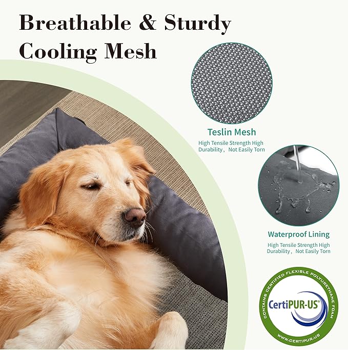 Cooling Elevated Dog Bed with Pillows,Portable Washable Raised Dog Cot Bed with Chew Proof Mesh and Metal Frame,No-Slip Rubber Feet for Indoor & Outdoor Use,XLarge,Deep Grey