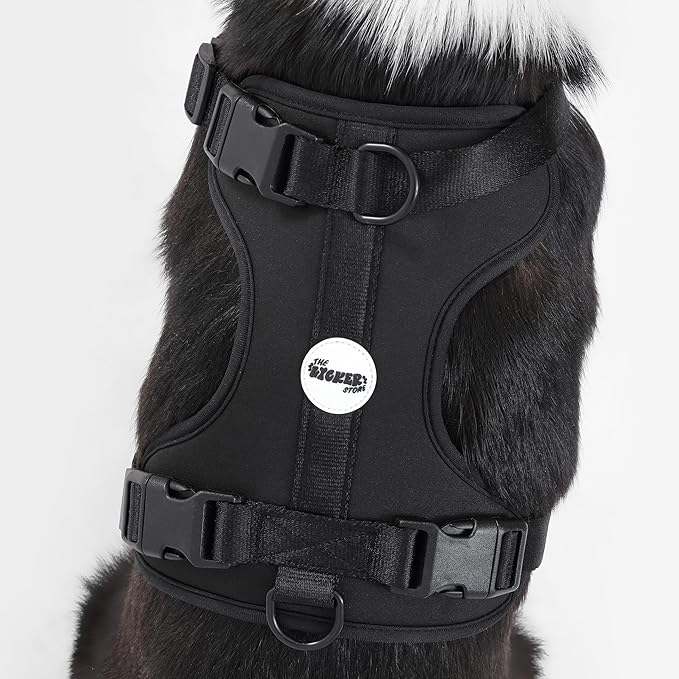 HNS1003I Arlo Large Adjustable Soft Padded No Pull Pet Harness with 3 Buckles and 3 Leash Clips, Bitters