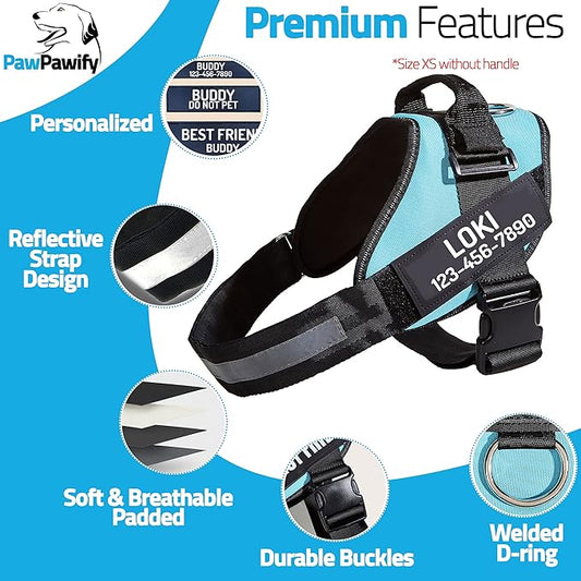 PawPawify Custom No Pull Dog Harness with Name and Phone Number, Heavy Duty Personalized Pet Vest to Prevent Tugging, Pulling, or Choking, Training and Walking (Sky Blue, M (Chest 20-24in))