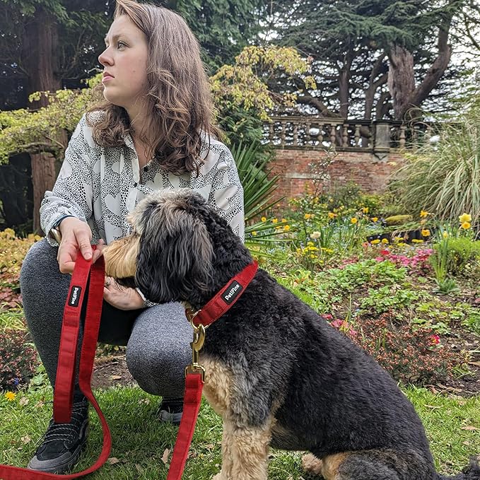 PetiFine Dog Collar and Leash Set - Adjustable Red Super Soft Velvet With Metal Buckle for Small Medium Large Dogs