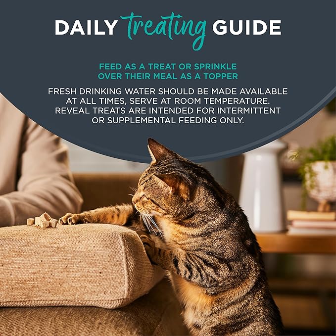 Reveal Natural Cat Treats, 6 Count Single Ingredient Treat for Cats, Grain Free, Whole Salmon Loin, 1.06 oz Bags