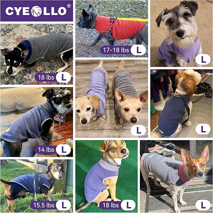 cyeollo 2 Pack Dog Sweater Fleece Vest Dog Sweatshirt Reflective Lightweight Pet Clothes for Small Dogs Boy Girl Pet Apparel Grass Green, Grey, L