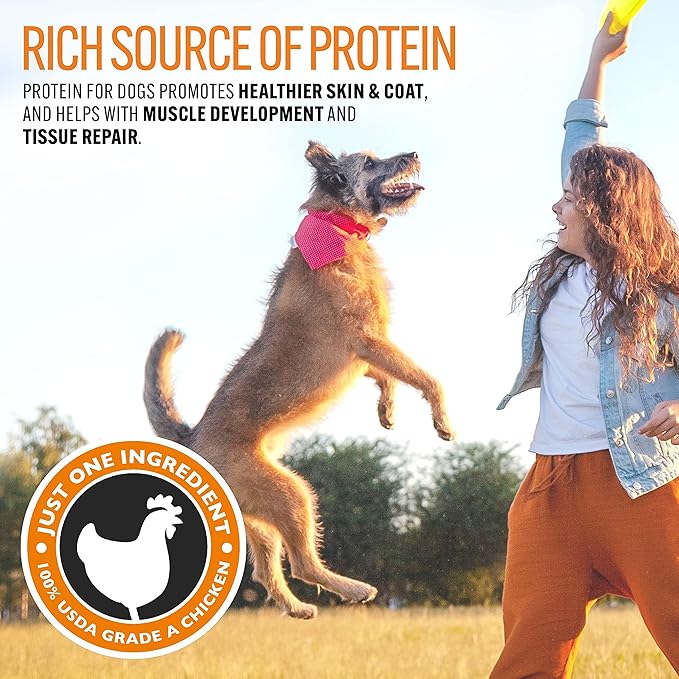 Emmy's Best EBPP Chicken Jerky Dog Treats Made in USA - 100% Natural Jerky Treats Made with Real Chicken - Grilled Chicken Strips for Medium Dogs, Large and Small Dogs - 8oz Bag