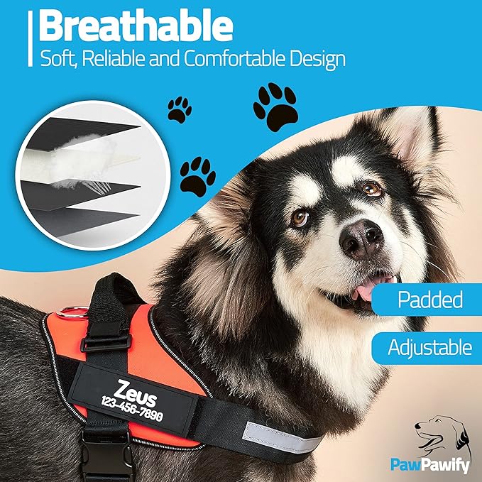 PawPawify Custom No Pull Dog Harness with Name and Phone Number, Heavy Duty Personalized Pet Vest to Prevent Tugging, Pulling, or Choking, Training and Walking (Orange, L (Chest 23-30in))