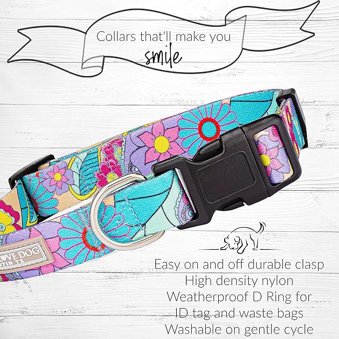 Lucky Love Dog Collar and Leash Combo, Cute Collar and Leash Set for Medium Female Dogs, Part of Purchase Donated to Rescue (Medium, Caroline, Combo)