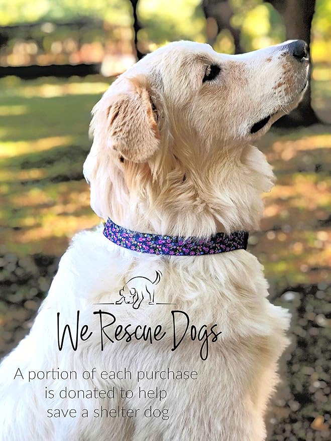 Lucky Love Dog, Matching Dog Collar & Leash Set for Female Dogs, Soft, Adjustable, Safe for Training and Walking, Black & Purple Floral Print, Primrose Combo, XS