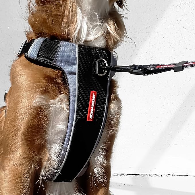 EzyDog X-Link Dog Harness – Reflective and Padded No Pull Dog Harness for Training and Everyday Walks with 2 Leash Attachment Points (Medium, Olive)