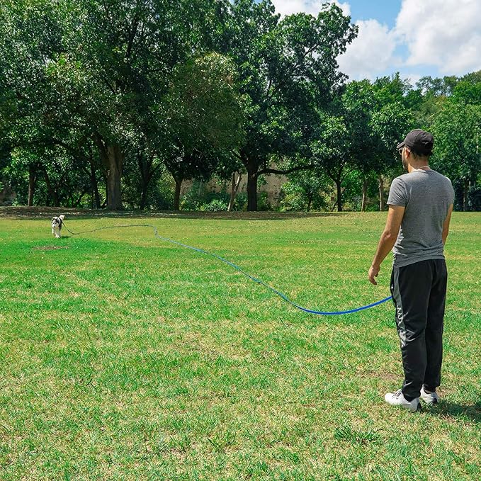 Hi Kiss Dog/Puppy Obedience Recall Training Agility Lead - 15ft 20ft 30ft 50ft 100ft Training Leash - Great for Training, Play, Camping, or Backyard (30 Feet, Red)