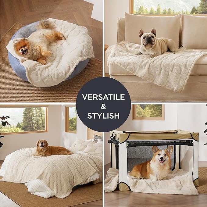 Bedsure 1 Pack 3 Dog Blankets for Small Dogs - 3pcs Washable Fluffy Fuzzy Puppy Cat Blanket with Premium 300GSM Coral Fleece Soft for Pet Kitten Doggy, 16x23, White