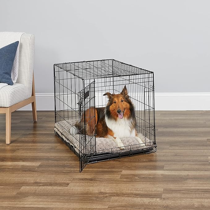 MidWest Homes for Pets 36-Inch iCrate Folding Dog Crate with Divider Panel, Leak-Proof Tray & Secure Latches – Metal Wire Kennel for Medium Large Breeds – Portable, Durable & Easy to Assemble