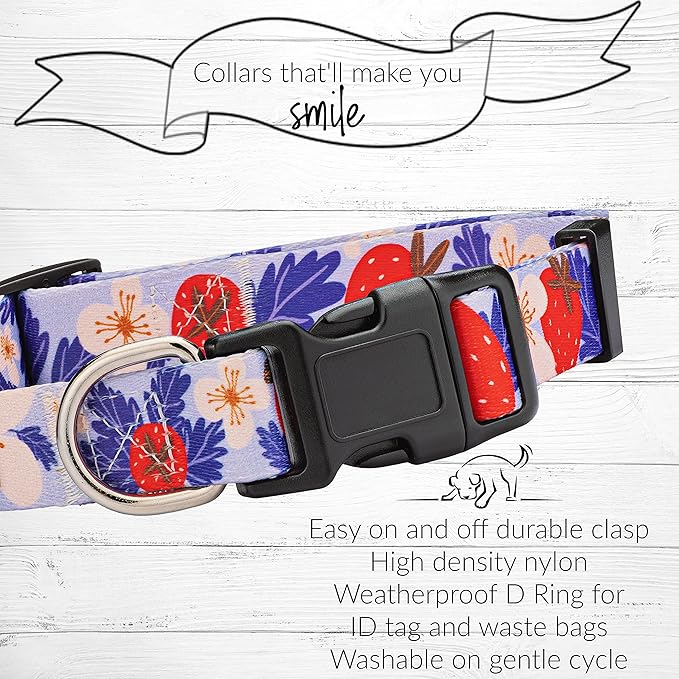 Lucky Love Dog - Adjustable Dog Collar with Easy Click Buckle for Small to Large Ones, Durable, & Comfortable for Male & Female Dogs, Pet Collar for Puppies & Adult Dogs - Sweet Berry, Medium