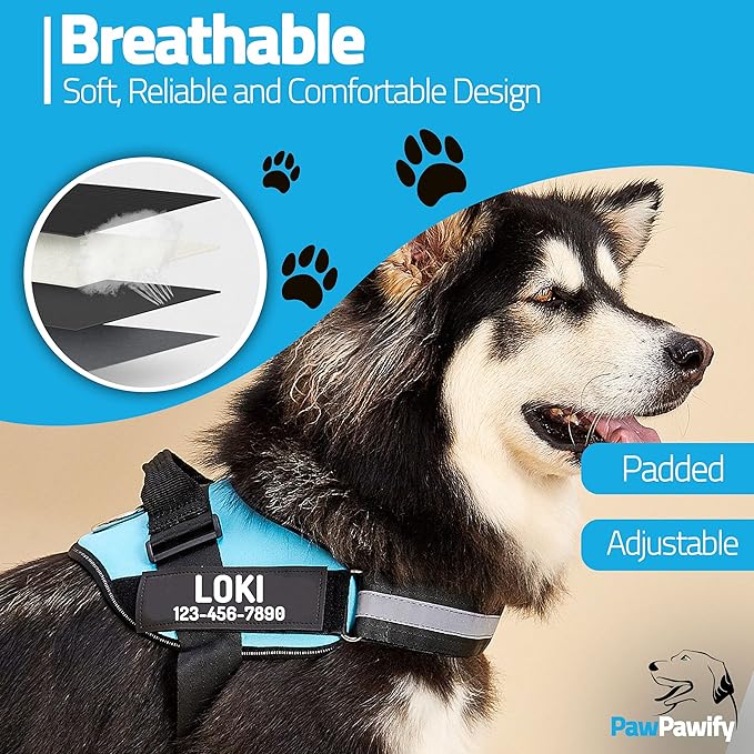 PawPawify Custom No Pull Dog Harness with Name and Phone Number, Heavy Duty Personalized Pet Vest to Prevent Tugging, Pulling, or Choking, Training and Walking (Sky Blue, XL (Chest 28-35in))
