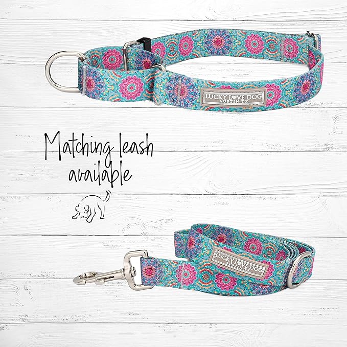 Lucky Love Dog Martingale Dog Collar & Leash - Adjustable, No-Slip, Durable, Comfortable, Soft Webbing, & Stylish Patterned Collar & Leash Set for Male and Female Dogs - Clara Combo, Large