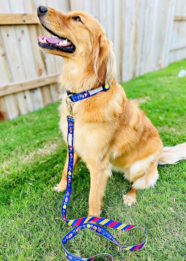 Lucky Love Dog - Adjustable Dog Collar with Easy Click Buckle for Small to Large Ones, Durable, & Comfortable for Male & Female Dogs, Pet Collar for Puppies & Adult Dogs - Mackey, Large