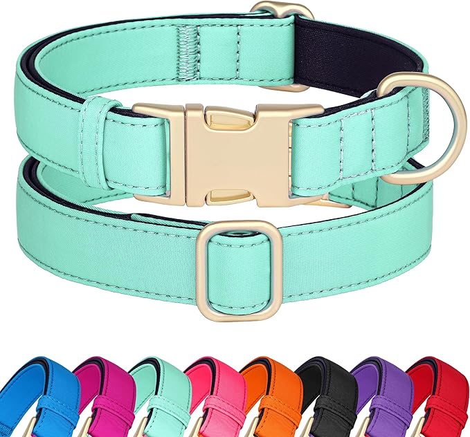 Didog Soft Padded Dog Collar for Large Dogs, Colorful and Durable Pet Collar with Quick Release Buckle, Light and Breathable for Daily Walking, Teal, L