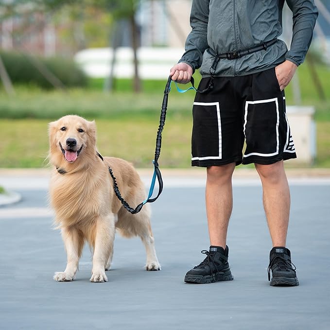 iYoShop Hands Free Dog Leash with Zipper Pouch, Dual Padded Handles and Durable Bungee for Walking, Jogging and Running Your Dog (Large, 25-120 lbs, True Navy)