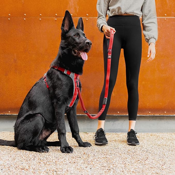 EzyDog X-Link Dog Harness – Reflective and Padded No Pull Dog Harness for Training and Everyday Walks with 2 Leash Attachment Points (X-Small, Pink)